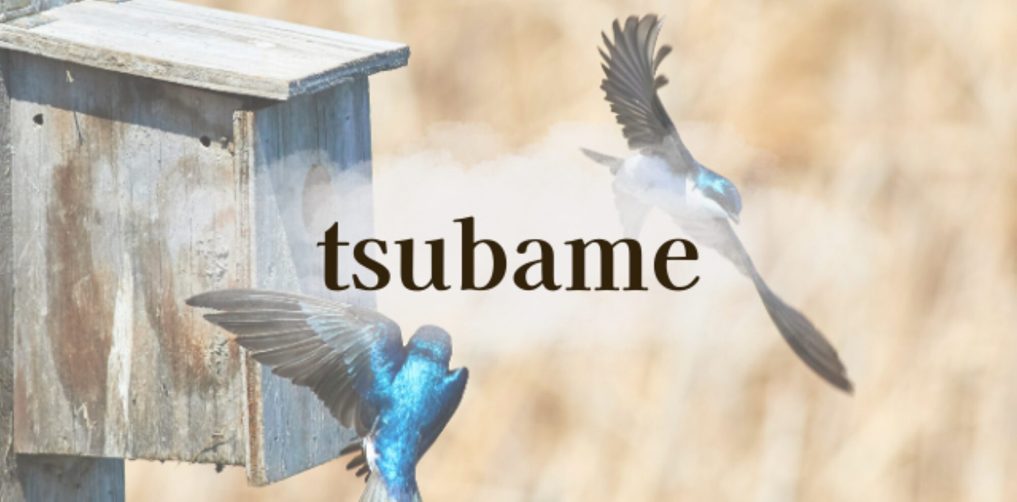 tsubame